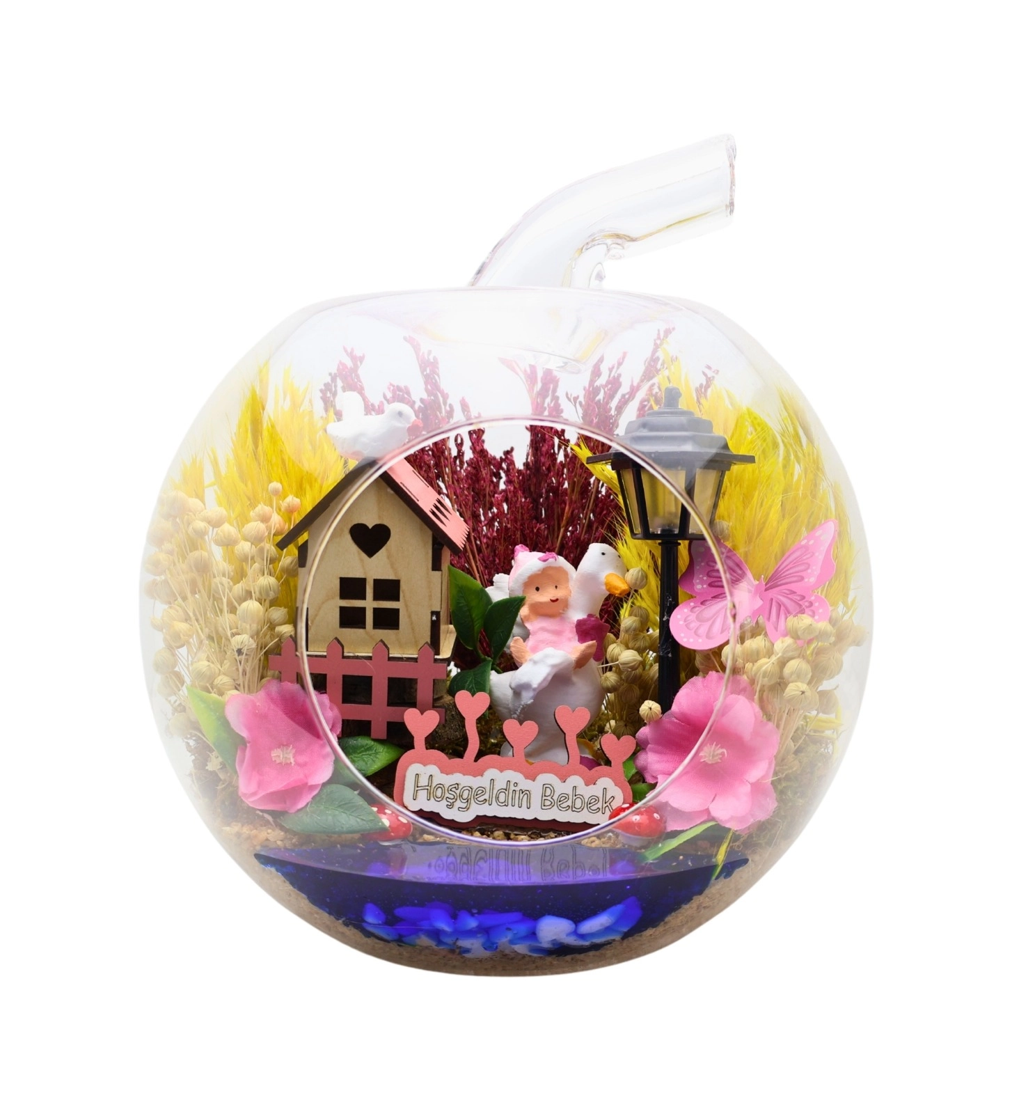 Yeni Doğan Kız Bebek Orta Elma Teraryum