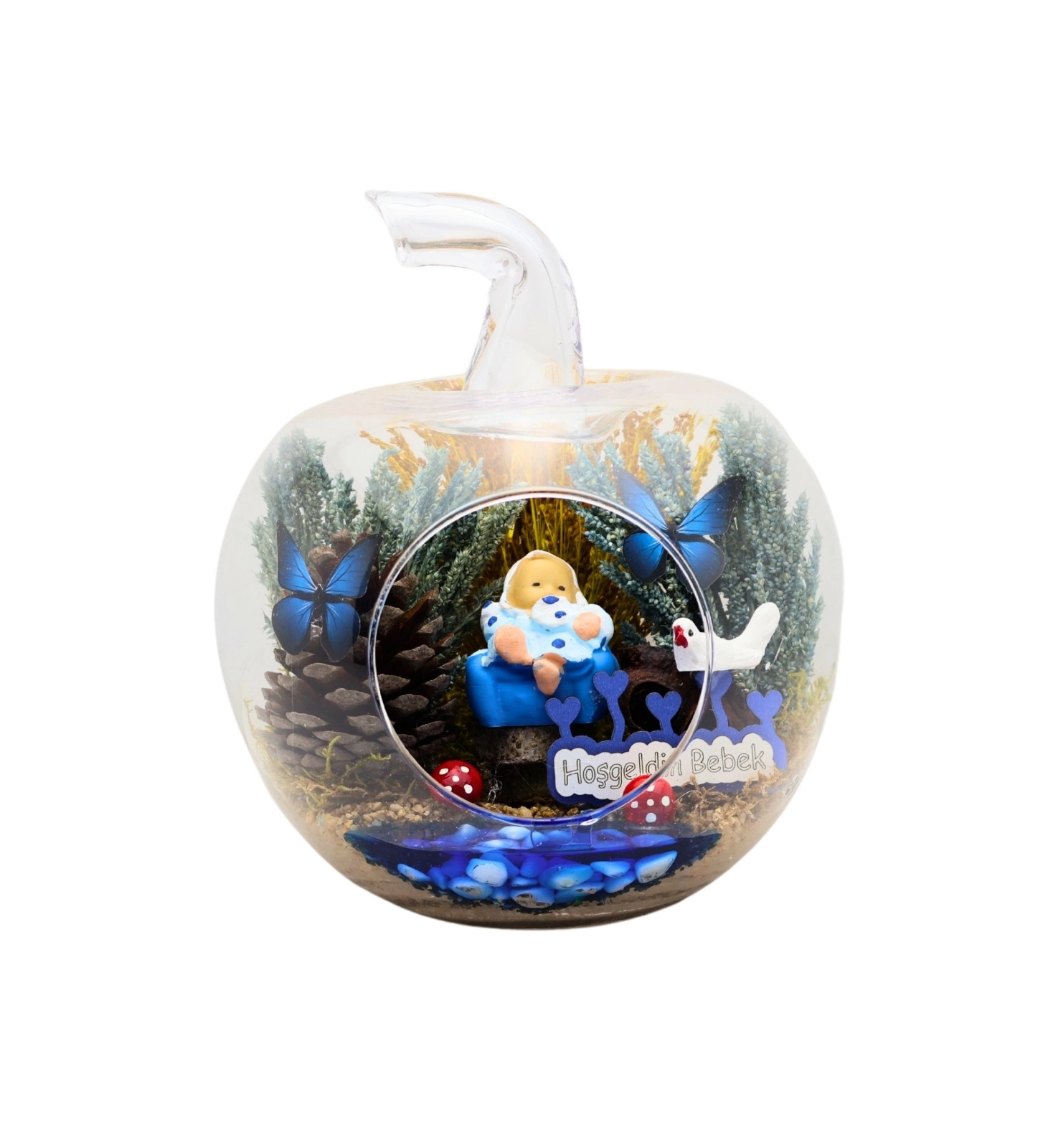 Yeni Doğan Erkek Bebek Küçük Elma Teraryum