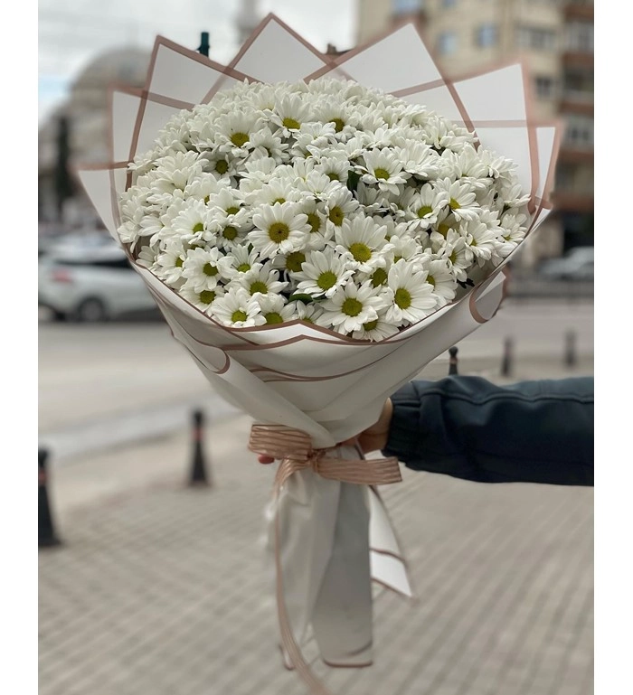 Beyaz Kasımpatı Buketi