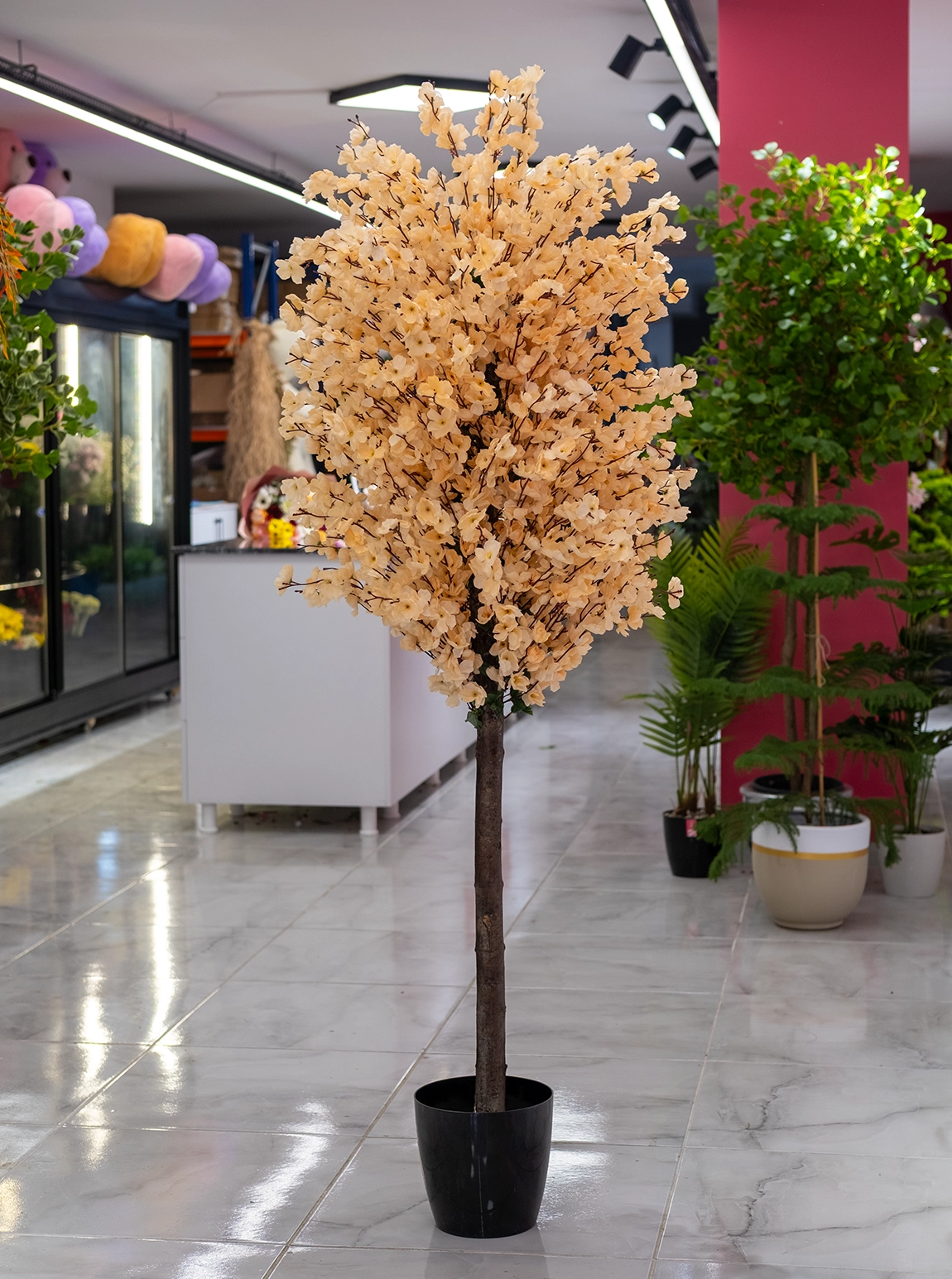 Saksıda Yapay 1 Gövdeli Bahar Dalı Ağacı 180 Cm Şampanya