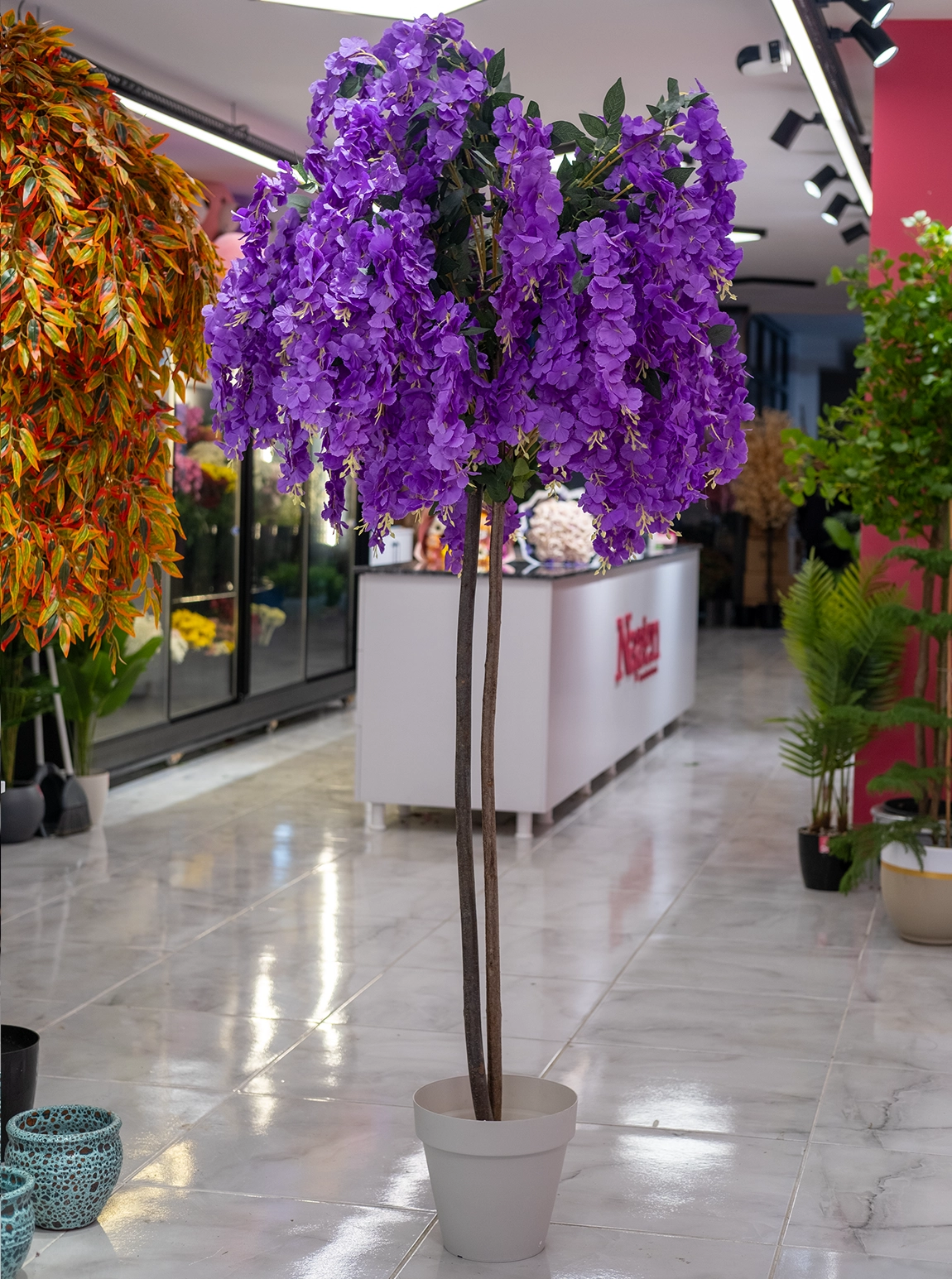 Saksıda Yapay 2 Gövdeli Akasya Ağacı 180 Cm Mor