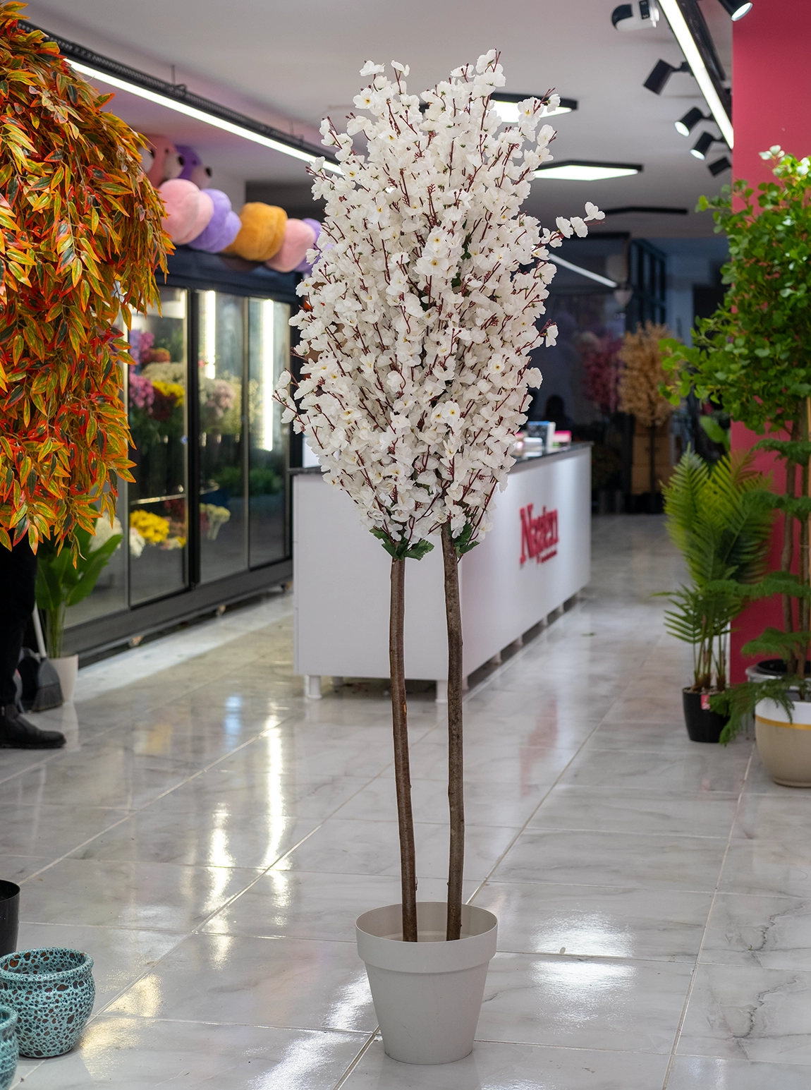 Saksıda Yapay 2 Gövdeli Bahar Dalı Ağacı 180 Cm Beyaz