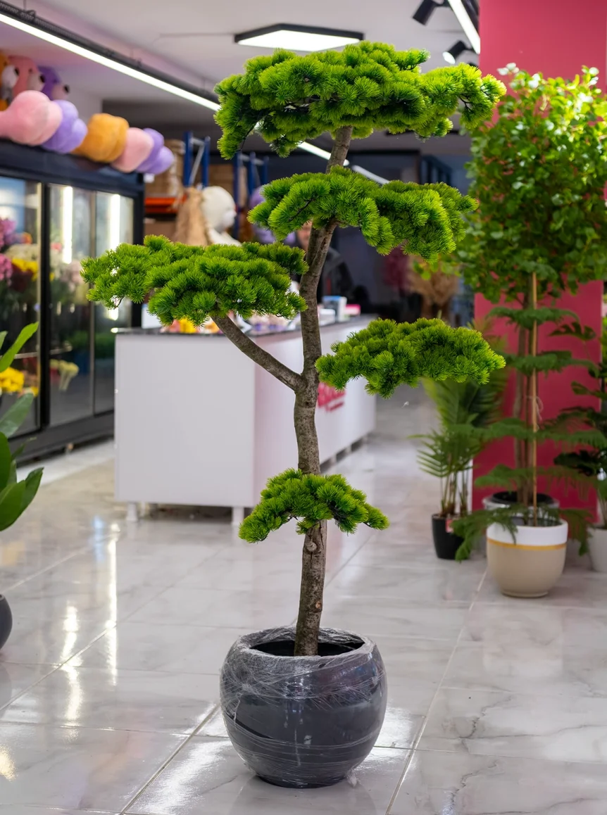 Çamur Saksıda Yapay Bonsai Ağaç  180 Cm 